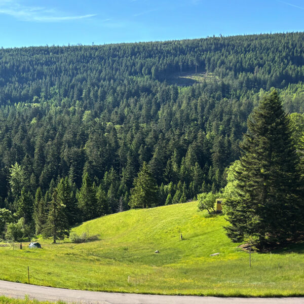 Schöne Aussicht vom Ferienhaus auf den Schwarzwald