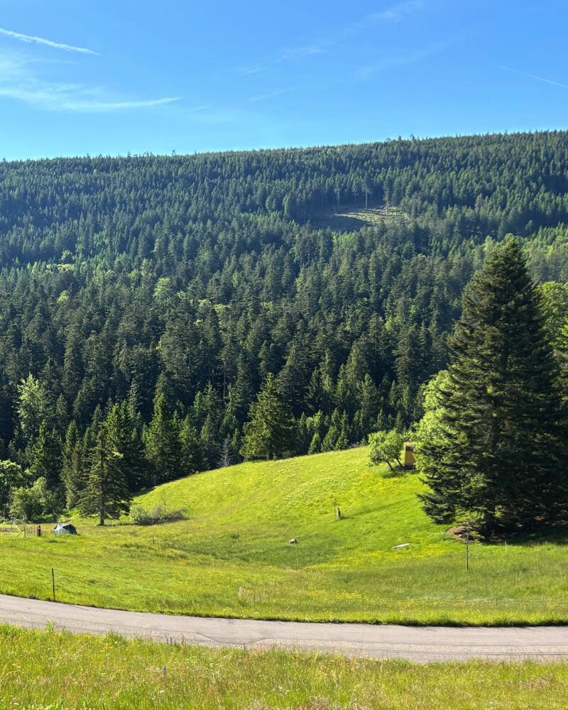 ferienhaus-1 Schöne Aussicht vom Ferienhaus auf den Schwarzwald
