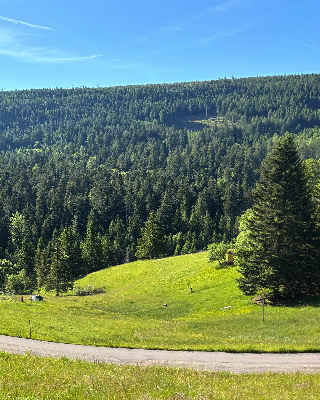 Schöne Aussicht vom Ferienhaus auf den Schwarzwald