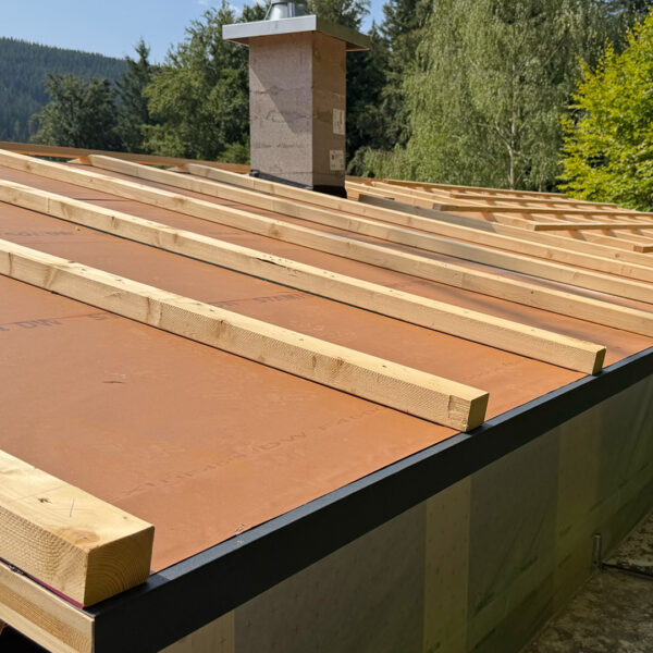 Blick auf Dach Holzbau Neubau Ferienhaus