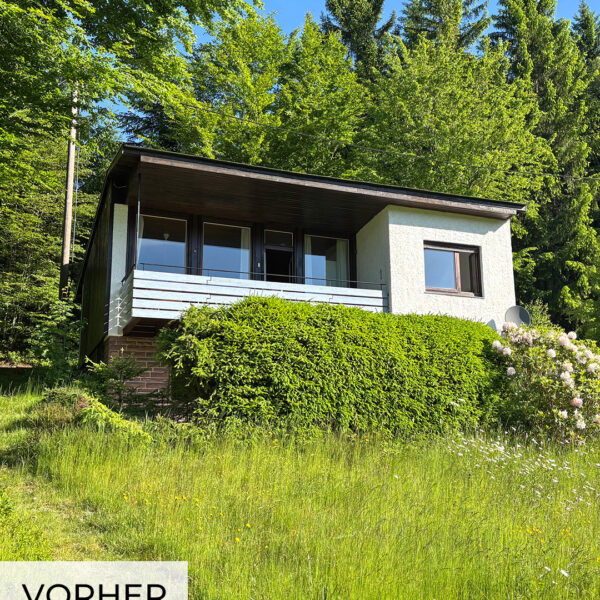 Ferienhaus Schwarzwald Bestand