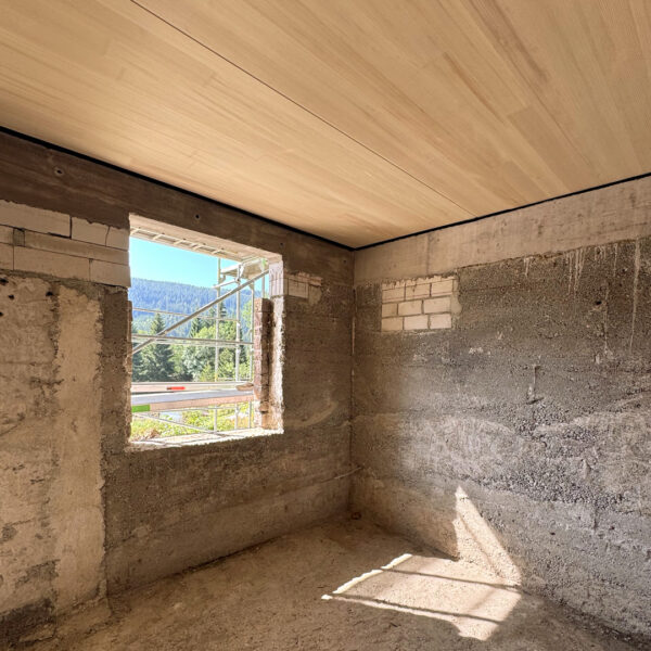 Ferienhaus Schwarzwald Gebäudeteil Bestand mit neuer Holzdecke