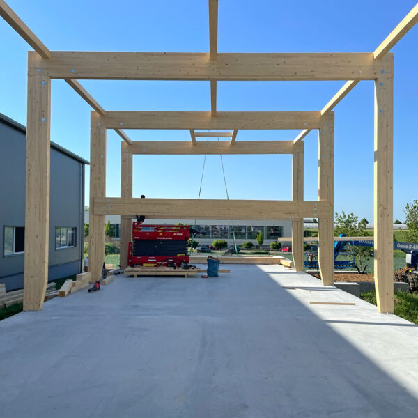 Holzbaugerüst Neubau Montagehalle