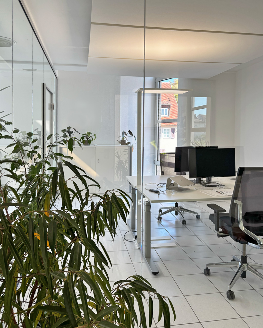 Blick in ein durch Glaswände abgetrenntes Büro